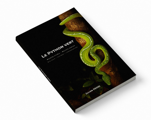Le Python Vert [Précommande]